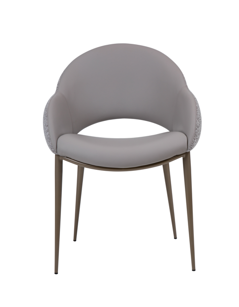 ALANIS DINING CHAIR